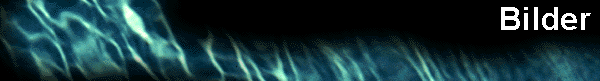  Bilder 